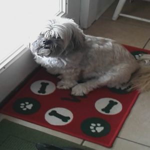 Meet your Posher, Debbie